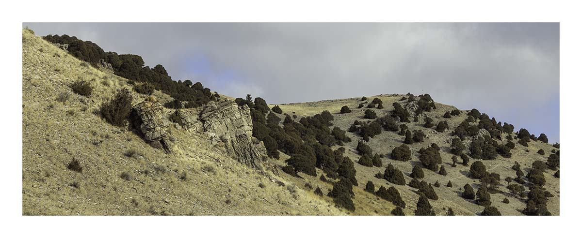National Elk Refuge